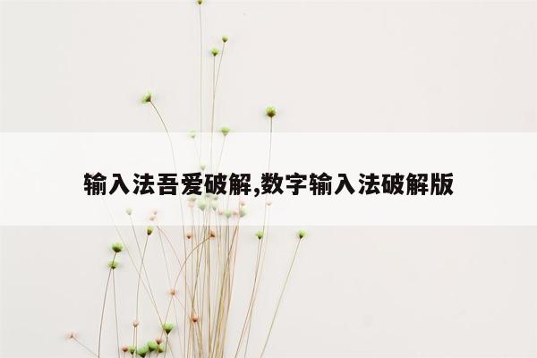 cmaedu.com输入法吾爱破解,数字输入法破解版