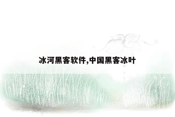 cmaedu.com冰河黑客软件,中国黑客冰叶
