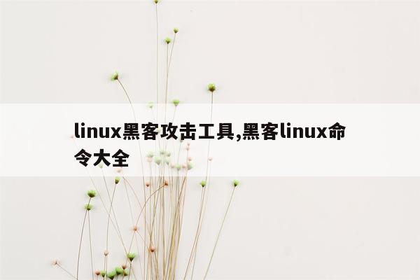 cmaedu.comlinux黑客攻击工具,黑客linux命令大全