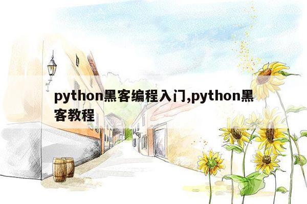 cmaedu.compython黑客编程入门,python黑客教程