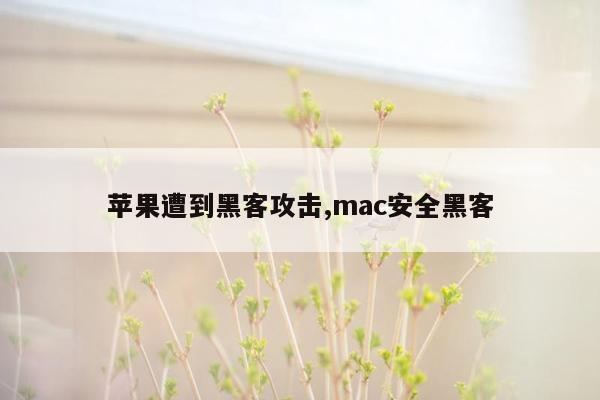 cmaedu.com苹果遭到黑客攻击,mac安全黑客