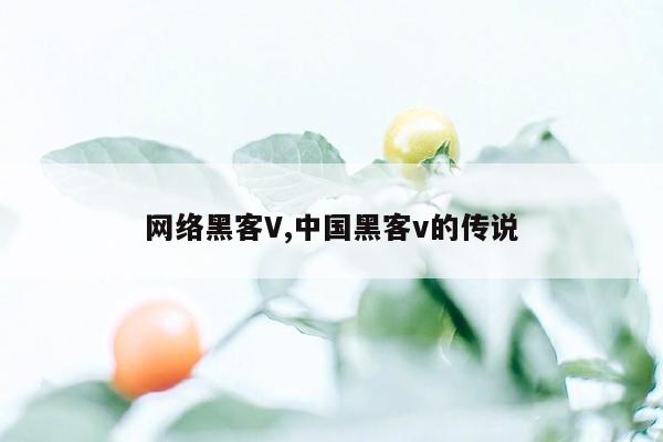 cmaedu.com网络黑客V,中国黑客v的传说