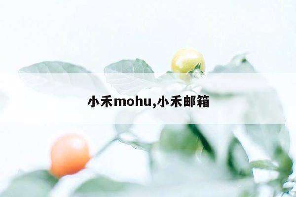 cmaedu.com小禾mohu,小禾邮箱