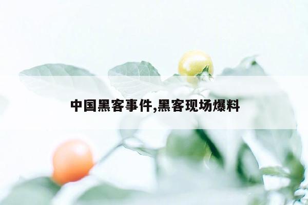 cmaedu.com中国黑客事件,黑客现场爆料