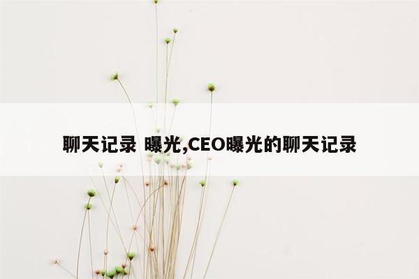 cmaedu.com聊天记录 曝光,CEO曝光的聊天记录