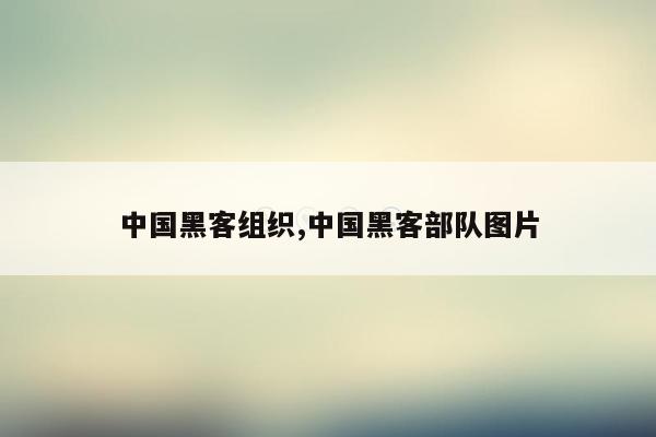 cmaedu.com中国黑客组织,中国黑客部队图片