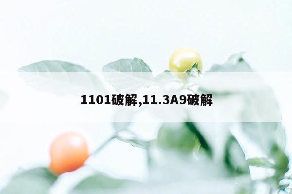 cmaedu.com1101破解,11.3A9破解