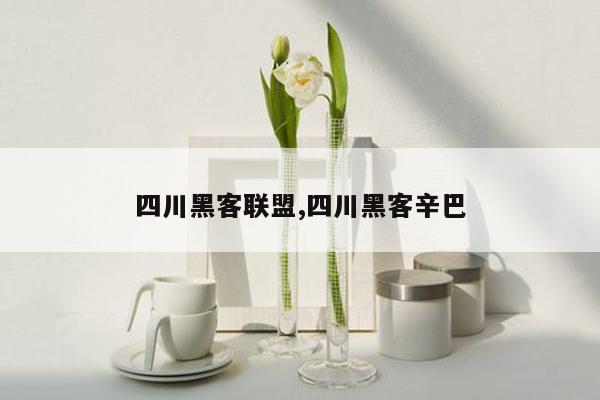 cmaedu.com四川黑客联盟,四川黑客辛巴