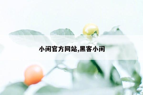 cmaedu.com小闲官方网站,黑客小闲