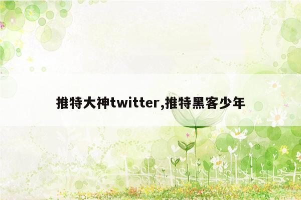 cmaedu.com推特大神twitter,推特黑客少年