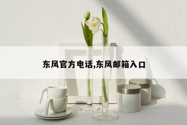 cmaedu.com东风官方电话,东风邮箱入口