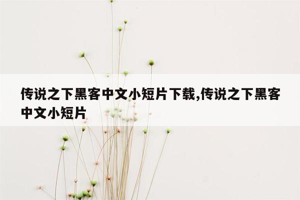 cmaedu.com传说之下黑客中文小短片下载,传说之下黑客中文小短片