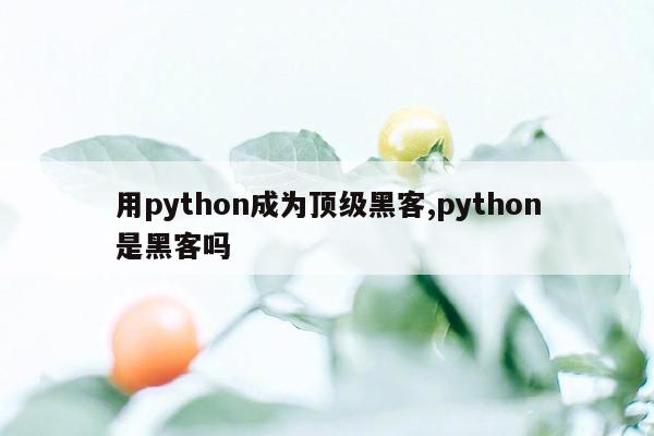 cmaedu.com用python成为顶级黑客,python是黑客吗