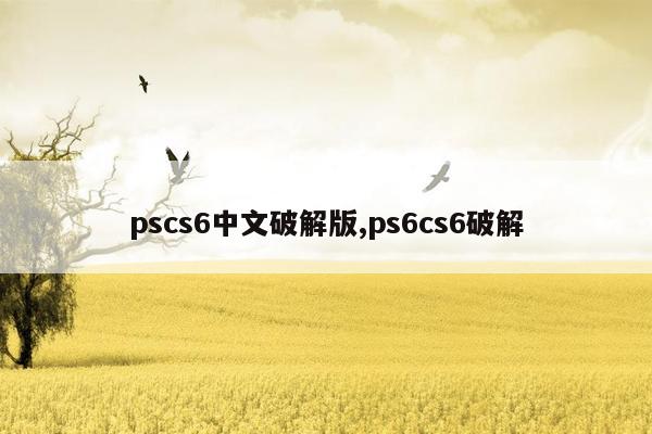 cmaedu.compscs6中文破解版,ps6cs6破解