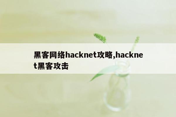 cmaedu.com黑客网络hacknet攻略,hacknet黑客攻击