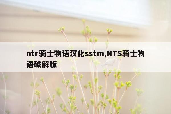 cmaedu.comntr骑士物语汉化sstm,NTS骑士物语破解版