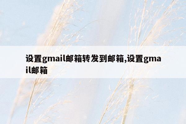 cmaedu.com设置gmail邮箱转发到邮箱,设置gmail邮箱