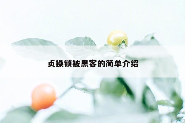 cmaedu.com贞操锁被黑客的简单介绍