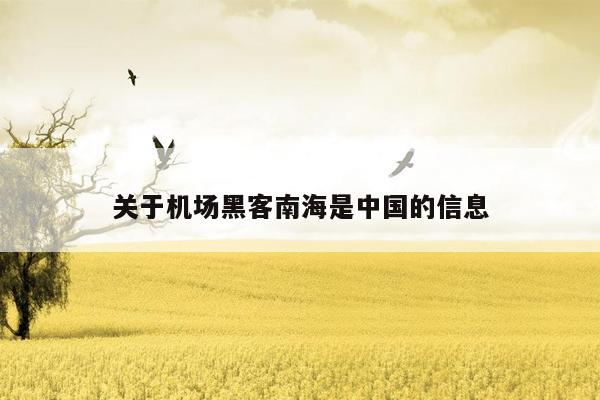 cmaedu.com关于机场黑客南海是中国的信息
