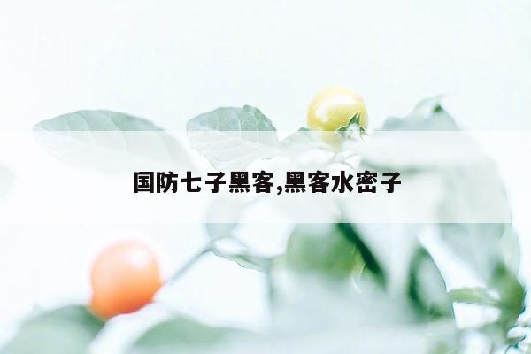 cmaedu.com国防七子黑客,黑客水密子