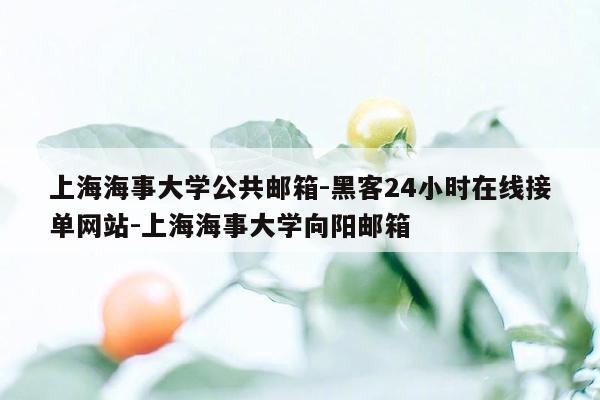 cmaedu.com上海海事大学公共邮箱-黑客24小时在线接单网站-上海海事大学向阳邮箱