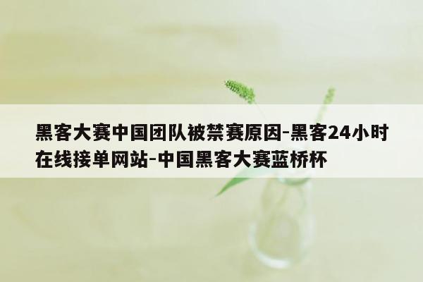 cmaedu.com黑客大赛中国团队被禁赛原因-黑客24小时在线接单网站-中国黑客大赛蓝桥杯