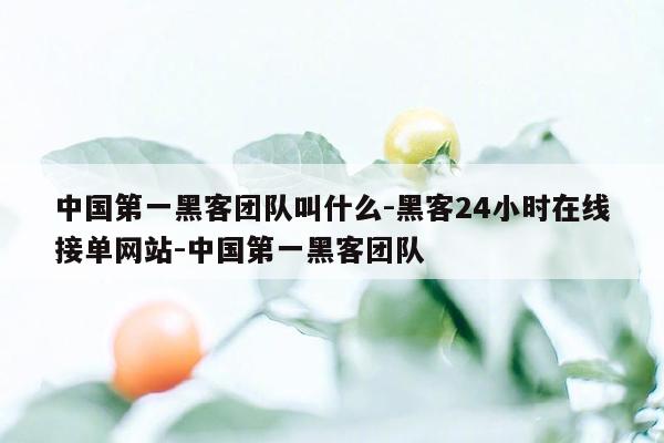 cmaedu.com中国第一黑客团队叫什么-黑客24小时在线接单网站-中国第一黑客团队