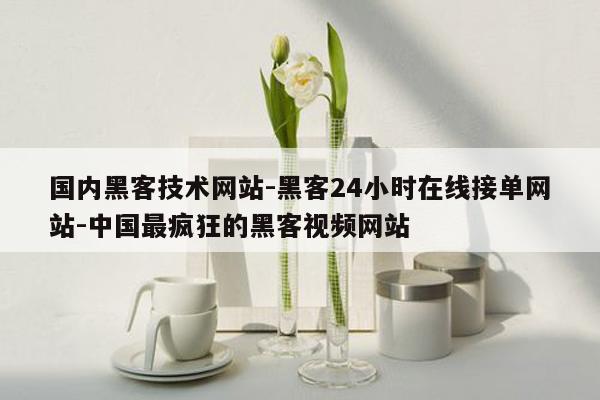 cmaedu.com国内黑客技术网站-黑客24小时在线接单网站-中国最疯狂的黑客视频网站