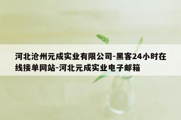cmaedu.com河北沧州元成实业有限公司-黑客24小时在线接单网站-河北元成实业电子邮箱