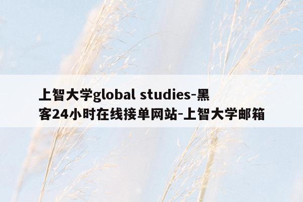 cmaedu.com上智大学global studies-黑客24小时在线接单网站-上智大学邮箱