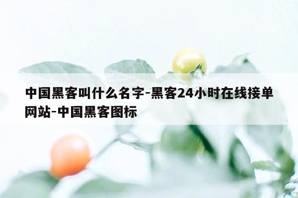 cmaedu.com中国黑客叫什么名字-黑客24小时在线接单网站-中国黑客图标